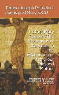 Mother Mary Ponders The 14 Stations of the Cross in the Experience of Mary, our Blessed Mother: Meditations by Sr. Teresa Joseph Patrick of Jesus and