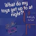 What do my toys get up to at night?