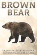 Brown Bear: Fun Facts on Zoo Animals for Kids #43