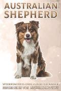 Australian Shepherd: Wissenswertes ?ber Hunde f?r Kinder #17