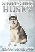 Sibirischer Husky: Wissenswertes ?ber Hunde f?r Kinder #18