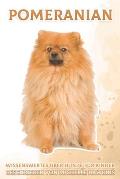 Pomeranian: Wissenswertes ?ber Hunde f?r Kinder #28