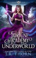 Fortune Academy Underworld: Book Four