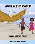 Aquila the Eagle: Aquila Learns to Fly