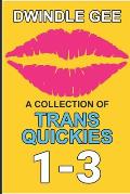 A Collection of Trans Quickies 1-3: The Virgin Crossdresser at the Crossroads Motel / Transsexual on a Train / Crossdresser Caught by Roommate