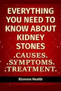 Everything you need to know about Kidney Stones: Causes, Symptoms, Treatment