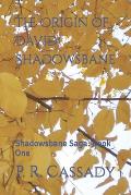 The Origin of David Shadowsbane: Shadowsbane Saga: Book One
