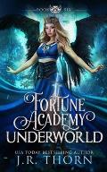Fortune Academy Underworld: Book Six