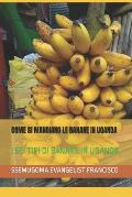 Come Si Mangiano Le Banane in Uganda: I SEI Tipi Di Banane in Uganda