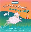 The Fully Woolly Sheep / El Abrigo de la Oveja