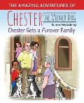 The Amazing Journey of Chester the Wiener Dog
