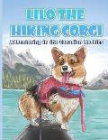 Lilo the Hiking Corgi: Adventuring in the Canadian Rockies