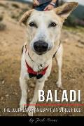 Baladi: The Journey of an Egyptian Street Dog