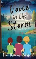 Voice in the Storm: A novel in parts