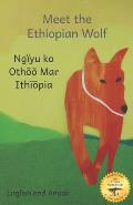 Meet the Ethiopian Wolf: Africa's Most Endangered Carnivore in Anuak and English