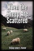 When the Sheep Are Scattered