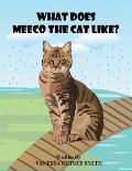 What Does Meeco The Cat Like?