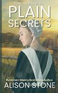 Plain Secrets: An Amish Romantic Suspense Novel