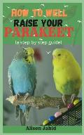 How well To Raise Your Parakeet: A Step By Step Guide