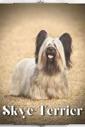 Skye Terrier: Dog breed overview and guide