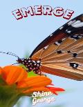 Emerge: Overcoming Failures and Setbacks: Turning Challenges Into Opportunities