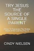 Try Jesus the Source of a Single Parent: 8 Keys To Experience The Hidden Power of the Lord You Pray To
