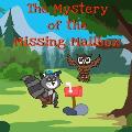 The Mystery of the Missing Mailbox: A Stevie & Stan Adventure