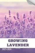 Growing Lavender: Become flowers expert