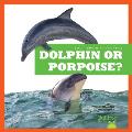 Dolphin or Porpoise?