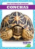Conchas (Shells)