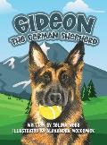 Gideon the German Shepherd