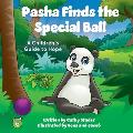 Pasha Finds the Special Ball: A Children's Guide to Hope