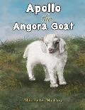 Apollo the Angora Goat