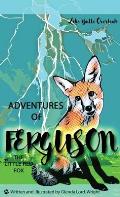 Adventures of Ferguson, the Little Red Fox: Lake Butte Overlook