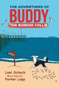 The Adventures of Buddy the Border Collie