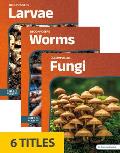 Decomposers (Set of 6)