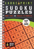 Large Print Sudoku Puzzles Orange