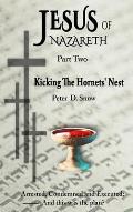 Jesus of Nazareth: Kicking the Hornets' Nest