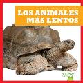 Los Animales M?s Lentos (Slowest Animals)
