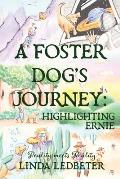 A Foster Dog's Journey: Highlighting Ernie