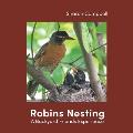 Robins Nesting: A Backyard Friends Experience