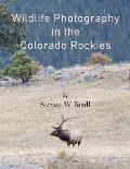 Wildlife Photography in the Colorado Rockies: Where and How to Find and Photograph Wildlife