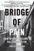 Bridge of Pain: How my life became a roller coaster