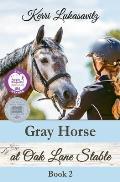 Gray Horse at Oak Lane Stable