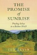 The Promise of Sunrise: Finding Solace in a Broken World