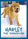 Harley the Snowdiver: Adventures with the Woodland Animals
